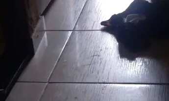 Imagem 6: Casa A venda vender rapido