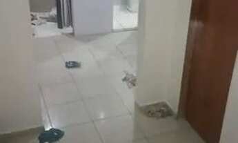 Imagem 2: Aluguel itapissuma