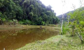 Imagem 5: Achou sua sonhada chácara 4900 mts lagao chalé plaina