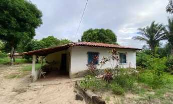 Imagem 2: Vendo sitio aprox 8mil m², no mojo 2 km da sede paço do lumiar