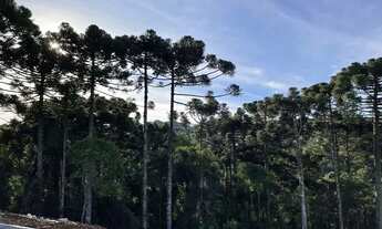 Imagem 5: Terreno Gramado em loteamento novo ACEITA TROCA