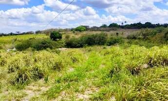 Imagem 3: 34,5 Tarefas (150.282m²