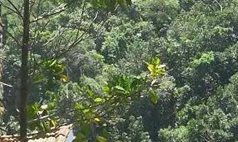 Imagem: Sol, Lagoa e Mar