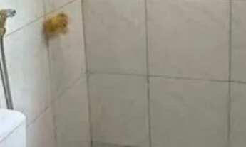 Imagem 4: 07 - Casa no Monte Castelo