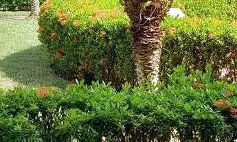 Imagem 7: OportunidadeS no RENAISSANCE, Terreno com 330m2. Rua Principal, Plano e Pronto pra Constru