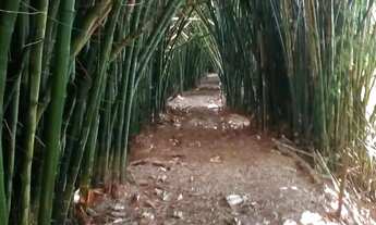 Imagem 2: Venda-se está fazenda de 165 alqueires no Estado do Rio de janeiro/RJ