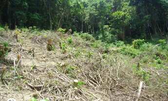 Imagem 3: Terreno à venda, 10559 m² por R$ 1.600.000,00 - São Francisco - Niterói/RJ