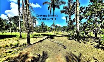 Imagem 3: Fazenda Sítio Chácara Estrada de Janauary KM 13 Ramal Boa Fé Iranduba 22.500m²