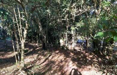 Imagem 6: Sítio à venda, 4600 m² por R$ 2.200.000,00 - Ratones - Florianópolis/SC