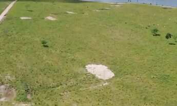 Imagem 2: FAZENDA 238 ALQUEIRES PIRINOPOLIS - GO