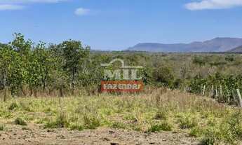 Imagem 3: Fazenda na Nova Fronteira Agrícola 330 alqueieres (1.597 hectares) Colinas Do Sul - Go