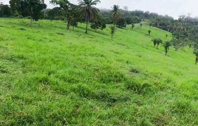 Imagem 3: Lote/Terreno para venda com 410000 metros quadrados em Zona Rural - Marechal Deodoro - AL