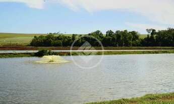 Imagem 9: Chácara Completa e Produtiva 7,2 Alqueires com 9 Açudes de Tilápias e Potencial para Lote