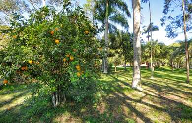 Imagem 12: Chácara à venda, Imóvel Cataratas - Foz do Iguaçu, PR