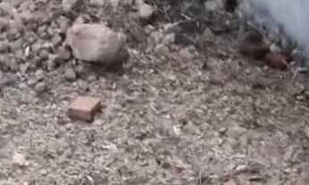 Imagem 5: Terreno 10 de frente por 22 de fundo!