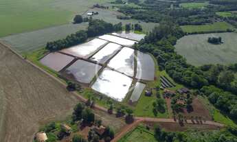 Imagem: Chácara Completa e Produtiva 7,2 Alqueires