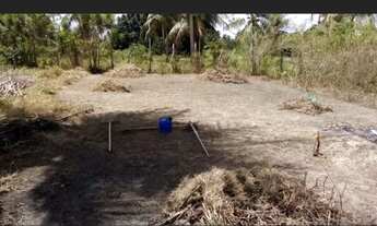 Imagem 4: 1 lote de terreno 180 metros quadrados no centro. Tel: * tem conversa de preço