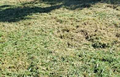 Imagem 2: Vendo terreno Terreno / lote com venda por R$30.000