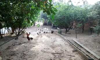 Imagem 4: Chácara recanto dos sonhos