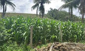 Imagem 6: Fazenda Fazenda / sítio com venda por R$1.400.000