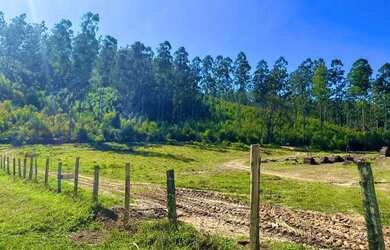 Imagem 5: Terreno 1000m² Totalmente Plano Condomínio de Alto Padrão em Ibiúna