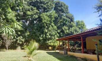 Imagem: Vende-se Chácara em Rochedo/GO