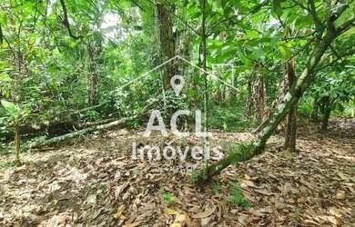 Imagem 5: Terreno Residencial à venda, S Camburi, São Sebastião - TE0022