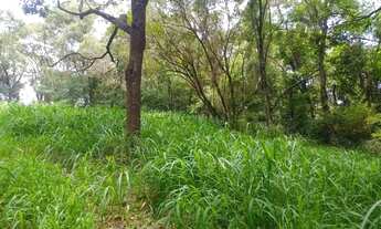 Imagem 4: Terreno à venda em Vinhedo, Altos do Morumbi, com 3700 m²
