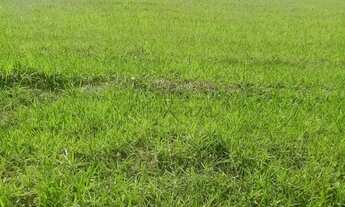 Imagem 2: Oportunidade - Terreno Condomínio - Vila Galvão - Caçapava - Residencial Condomínio Bella