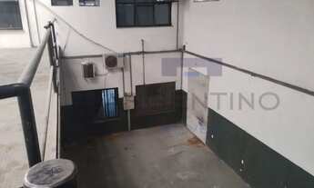 Imagem 3: Galpão para locação Ponte Grande Mogi das Cruzes