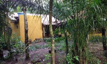 Imagem 4: Pesqueiro em rio negro ms troca por carro ou imovel!