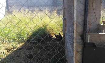 Imagem 6: Chacara no Bairro Chacara Tubalina - Cód.4224