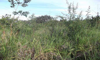Imagem 5: Chacaras de 1.000 metros 100% plana Na Serra do Cipó (oportunidade