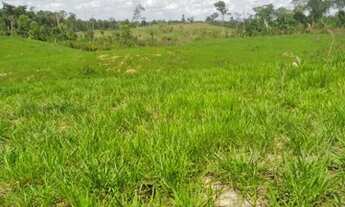 Imagem 7: Fazendas disponíveis em Feijó ( leia o anúncio