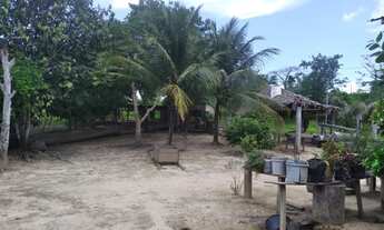 Imagem 13: Fazendas disponíveis em Feijó ( leia o anúncio