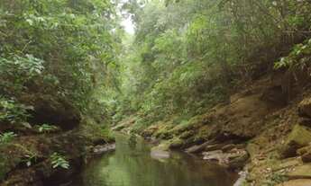 Imagem: Fazenda/Sítio/Chácara para venda possui