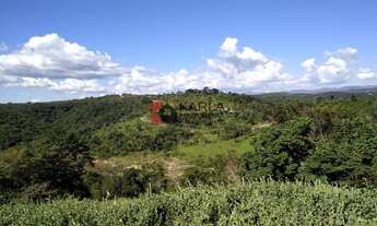 Imagem 3: Chácara de 20 mil m² á 10 km da Orla da Lagoa!