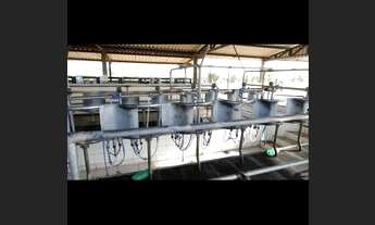 Imagem 3: Fazenda dupla aptidão município tupaciguara