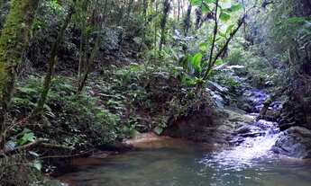 Imagem: Ótimo sítio em Anitápolis - 5.5hectares