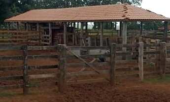 Imagem 2: PRESIDENTE BERNARDES - RURAL - Zona Rural