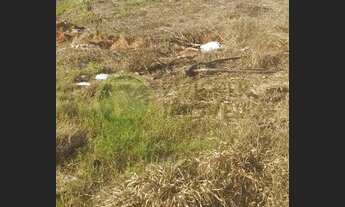 Imagem: Ótimo terreno no Jd. Jandaia