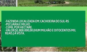 Imagem: Fazenda 120 Hectares Cachoeira do Sul
