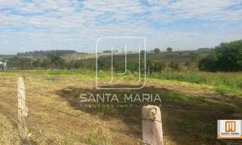 Imagem 3: Chacara (chacara