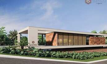 Imagem 3: Lote ou Terreno, Salvaterra