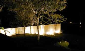 Imagem 6: Terreno - Rodovia - Morungaba