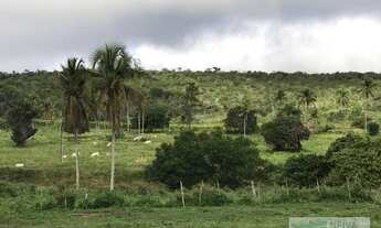 Imagem: Fazenda a 15 km de Entre Rios Na BA 093