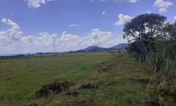 Imagem 7: Fazenda Própria para Pecuária com 4 Casa e Galpão em Santo António da Patrulha