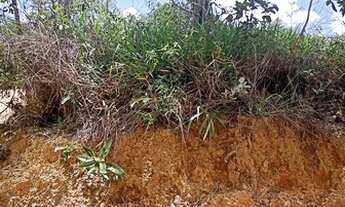 Imagem 2: Lote no Condominio Portal da Serra