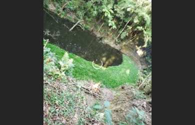 Imagem 5: Terreno 5000m² Terreno / lote com venda por R$350.000