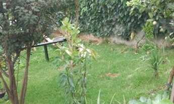 Imagem 6: SOBRADO AMPLO ! VILA NOVA MAZZEI